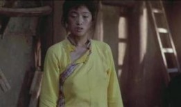 菊豆完整版在线观看,穿越时空的悲欢离合